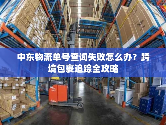 中东物流单号查询失败怎么办？跨境包裹追踪全攻略