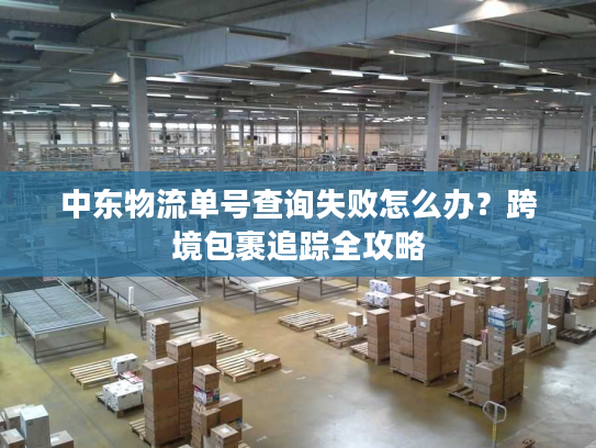 中东物流单号查询失败怎么办？跨境包裹追踪全攻略