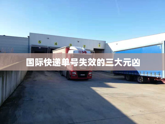 国际快递单号失效的三大元凶