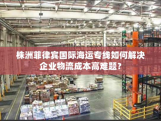 株洲菲律宾国际海运专线如何解决企业物流成本高难题？