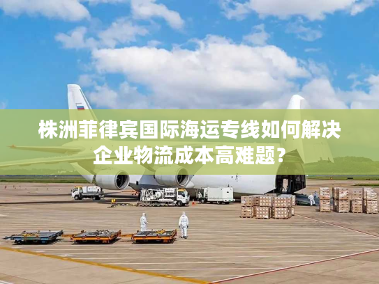 株洲菲律宾国际海运专线如何解决企业物流成本高难题？
