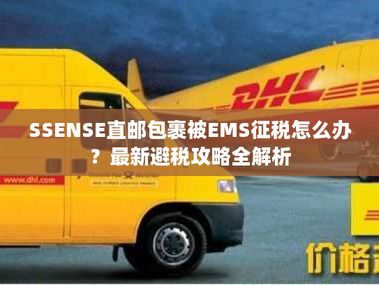 SSENSE直邮包裹被EMS征税怎么办？最新避税攻略全解析
