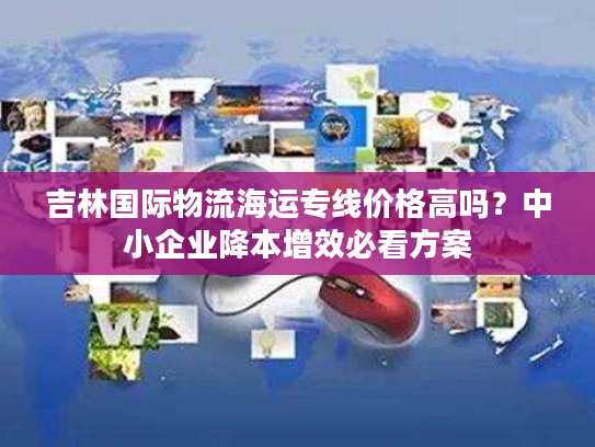 吉林国际物流海运专线价格高吗？中小企业降本增效必看方案