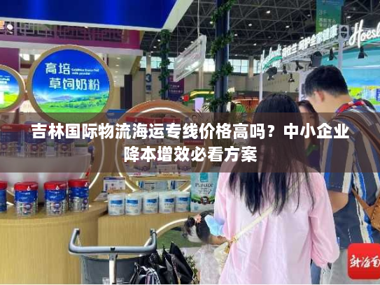 吉林国际物流海运专线价格高吗？中小企业降本增效必看方案