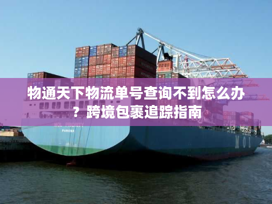 物通天下物流单号查询不到怎么办？跨境包裹追踪指南