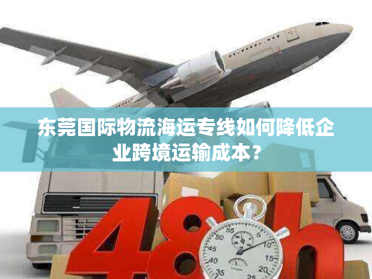 东莞国际物流海运专线如何降低企业跨境运输成本？