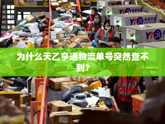 为什么天乙亨通物流单号突然查不到？