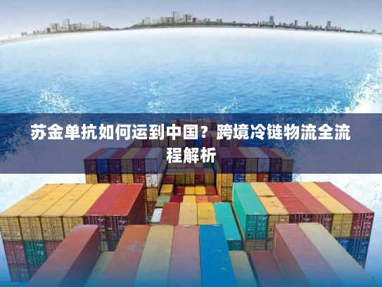 苏金单抗如何运到中国？跨境冷链物流全流程解析