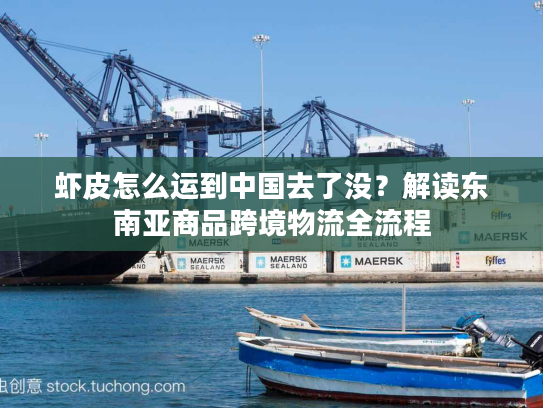 虾皮怎么运到中国去了没？解读东南亚商品跨境物流全流程