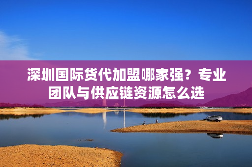深圳国际货代加盟哪家强？专业团队与供应链资源怎么选