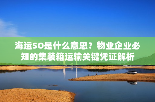 海运SO是什么意思？物业企业必知的集装箱运输关键凭证解析
