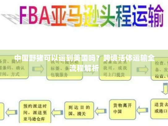 中国野猪可以运到美国吗？跨境活体运输全流程解析