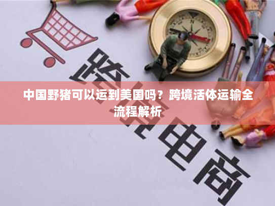 中国野猪可以运到美国吗？跨境活体运输全流程解析