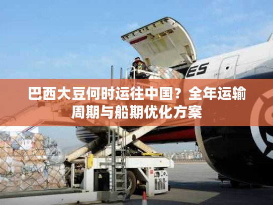 巴西大豆何时运往中国？全年运输周期与船期优化方案