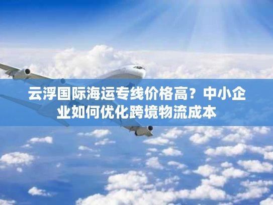 云浮国际海运专线价格高？中小企业如何优化跨境物流成本