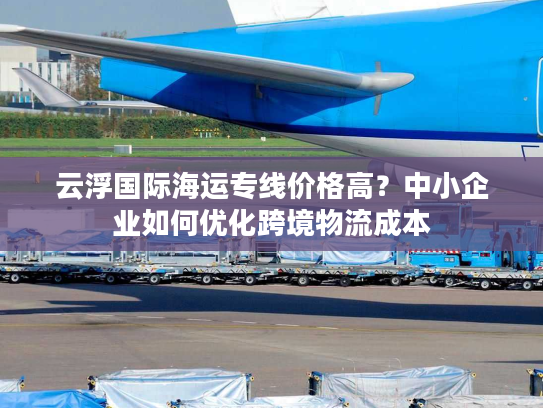 云浮国际海运专线价格高？中小企业如何优化跨境物流成本