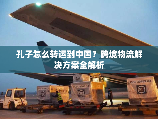 孔子怎么转运到中国？跨境物流解决方案全解析