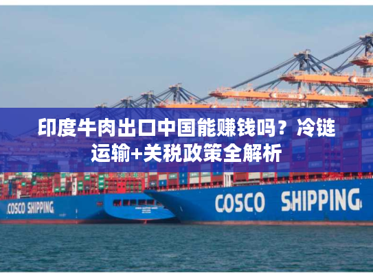 印度牛肉出口中国能赚钱吗？冷链运输+关税政策全解析