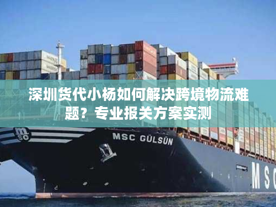 深圳货代小杨如何解决跨境物流难题？专业报关方案实测