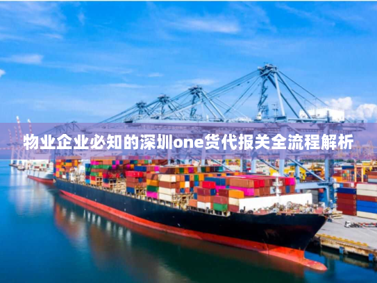 物业企业必知的深圳one货代报关全流程解析 物业企业必知的深圳one货代报关全流程解析
