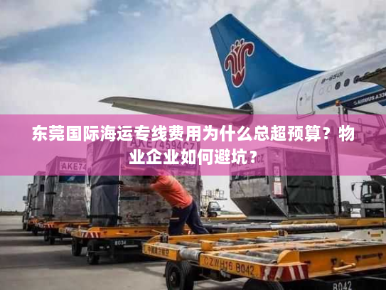 东莞国际海运专线费用为什么总超预算?物业企业如何避坑? 东莞国际海运专线费用为什么总超预算?物业企业如何避坑?