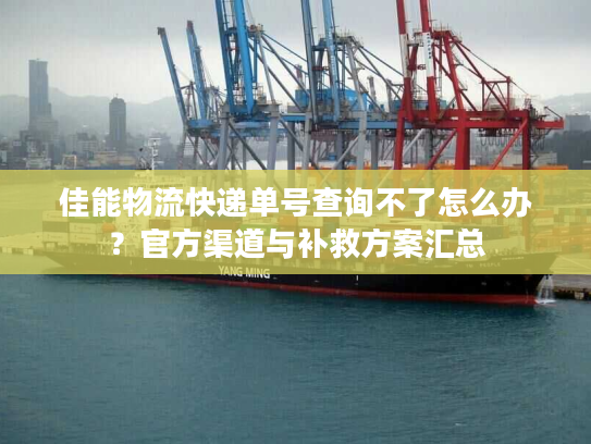 佳能物流快递单号查询不了怎么办？官方渠道与补救方案汇总