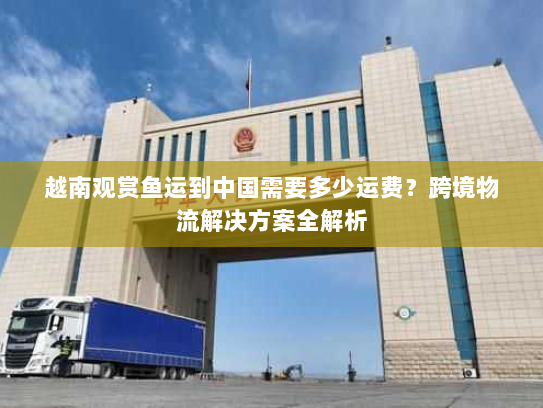 越南观赏鱼运到中国需要多少运费？跨境物流解决方案全解析