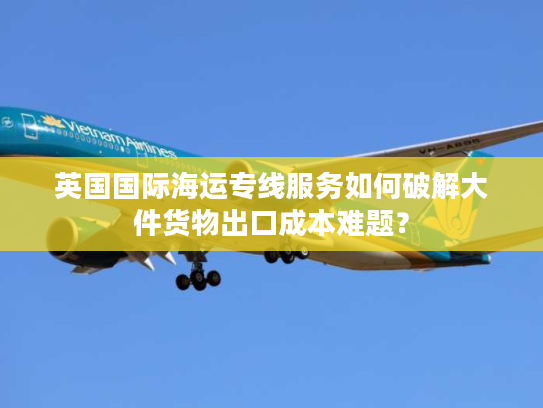 英国国际海运专线服务如何破解大件货物出口成本难题？