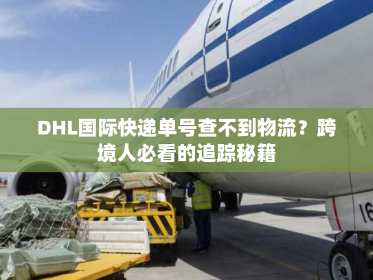 DHL国际快递单号查不到物流？跨境人必看的追踪秘籍