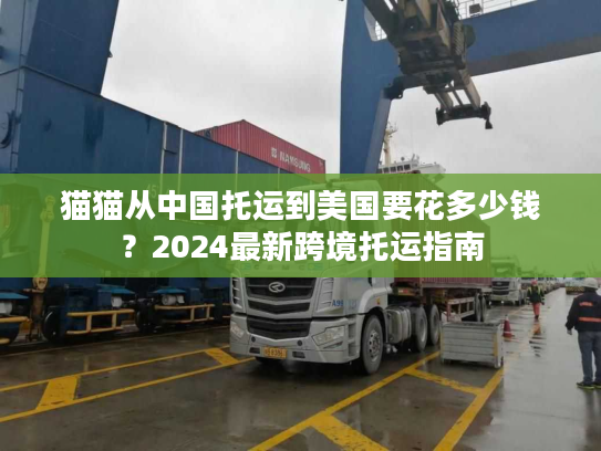 猫猫从中国托运到美国要花多少钱?2024最新跨境托运指南 猫猫从中国托运到美国要花多少钱?2024最新跨境托运指南