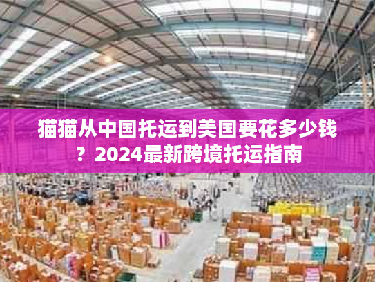 猫猫从中国托运到美国要花多少钱?2024最新跨境托运指南 猫猫从中国托运到美国要花多少钱?2024最新跨境托运指南