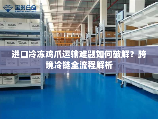 进口冷冻鸡爪运输难题如何破解？跨境冷链全流程解析