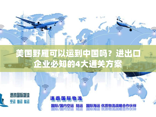 美国野雁可以运到中国吗？进出口企业必知的4大通关方案