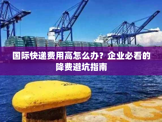 国际快递费用高怎么办？企业必看的降费避坑指南