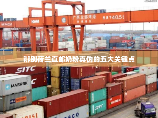 辨别荷兰直邮奶粉真伪的五大关键点