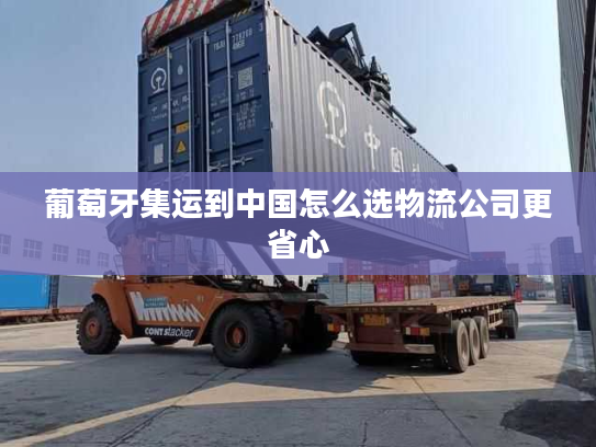 葡萄牙集运到中国怎么选物流公司更省心 葡萄牙集运到中国怎么选物流公司更省心