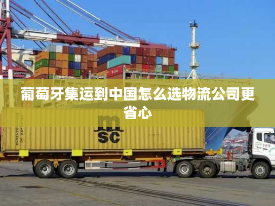 葡萄牙集运到中国怎么选物流公司更省心 葡萄牙集运到中国怎么选物流公司更省心