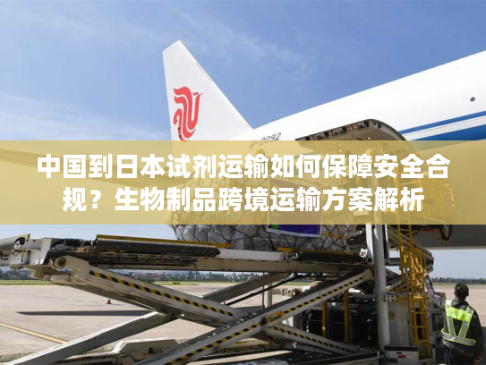 中国到日本试剂运输如何保障安全合规？生物制品跨境运输方案解析