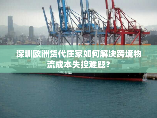 深圳欧洲货代庄家如何解决跨境物流成本失控难题？