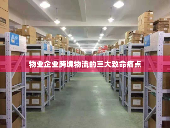 物业企业跨境物流的三大致命痛点 物业企业跨境物流的三大致命痛点