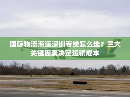 国际物流海运深圳专线怎么选？三大关键因素决定运输成本