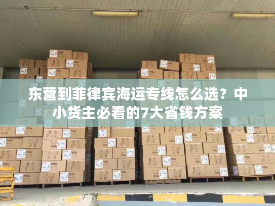 东营到菲律宾海运专线怎么选?中小货主必看的7大省钱方案 东营到菲律宾海运专线怎么选?中小货主必看的7大省钱方案