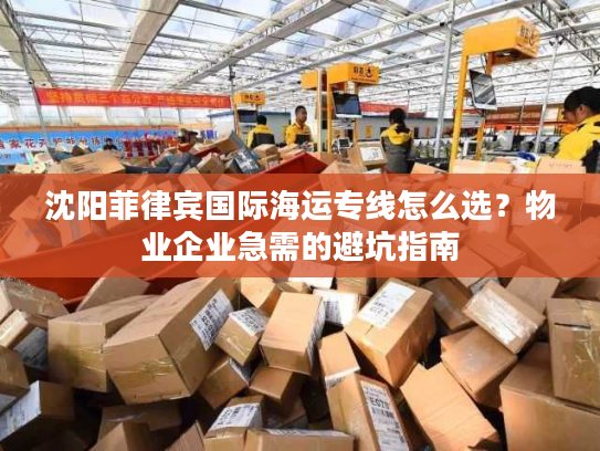 沈阳菲律宾国际海运专线怎么选？物业企业急需的避坑指南