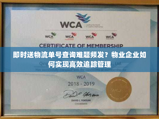 即时送物流单号查询难题频发？物业企业如何实现高效追踪管理