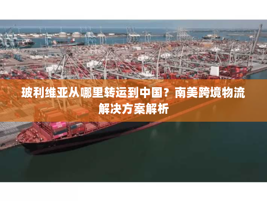 玻利维亚从哪里转运到中国？南美跨境物流解决方案解析