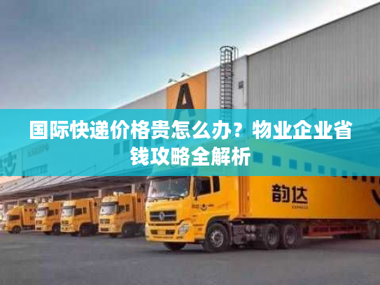 国际快递价格贵怎么办？物业企业省钱攻略全解析