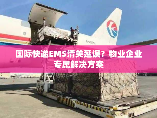 国际快递EMS清关延误？物业企业专属解决方案