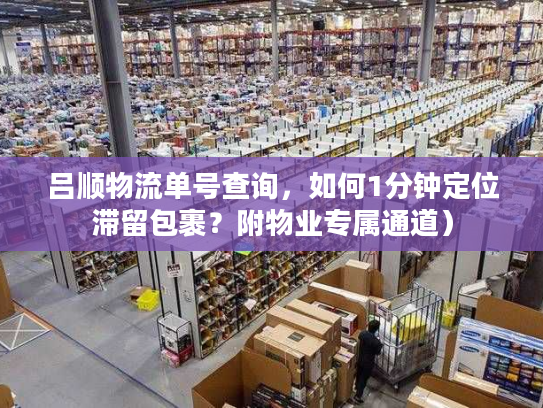 吕顺物流单号查询，如何1分钟定位滞留包裹？附物业专属通道）