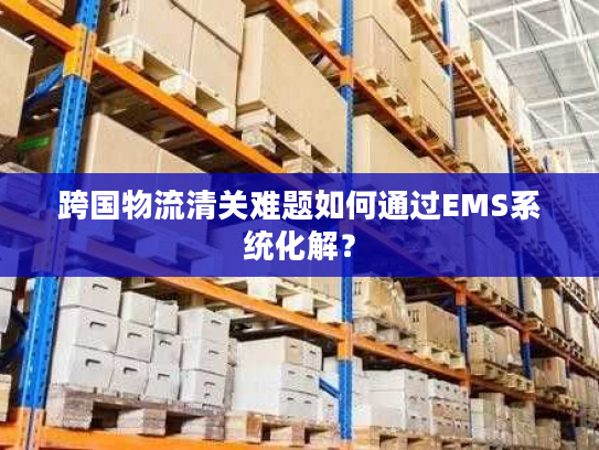 跨国物流清关难题如何通过EMS系统化解？