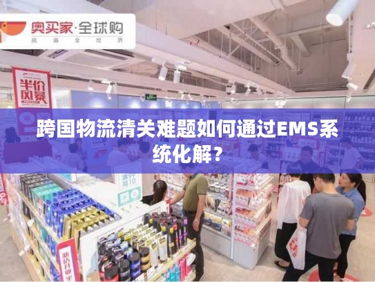 跨国物流清关难题如何通过EMS系统化解？